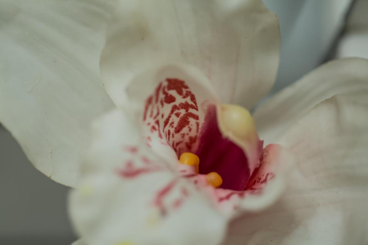 Iris Garden Retreat Aparthotel Corinth Buitenkant foto