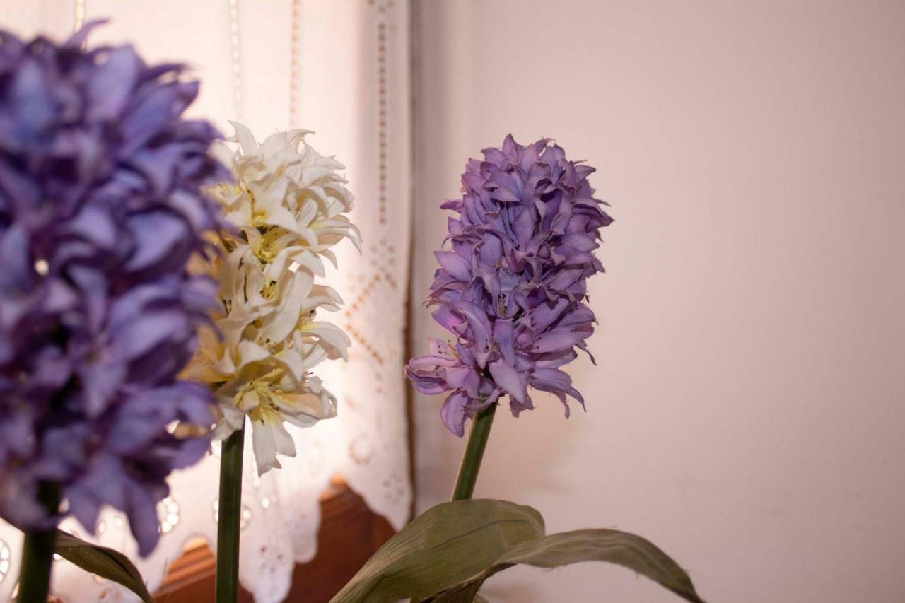 Iris Garden Retreat Aparthotel Corinth Buitenkant foto